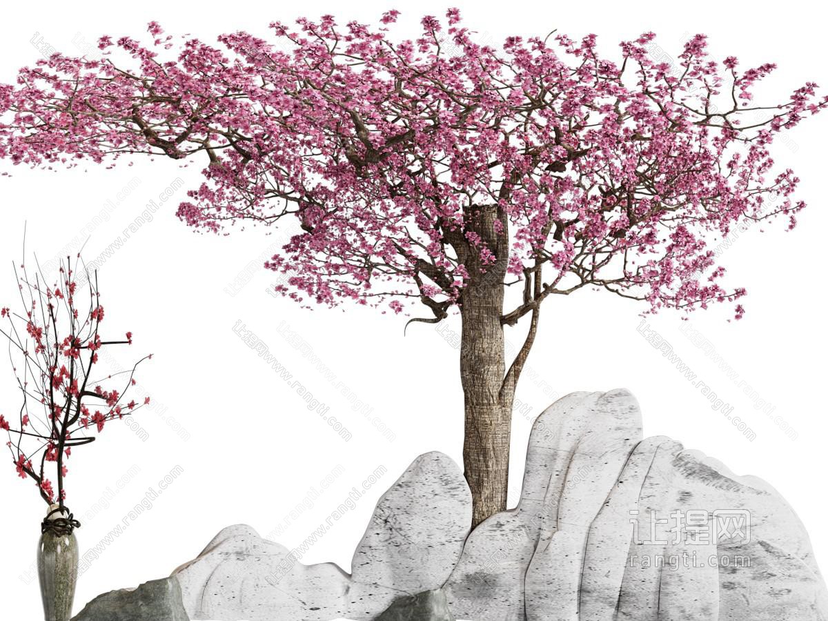新中式花树、石头景观园艺小品