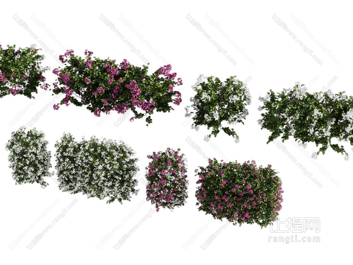现代花草绿植