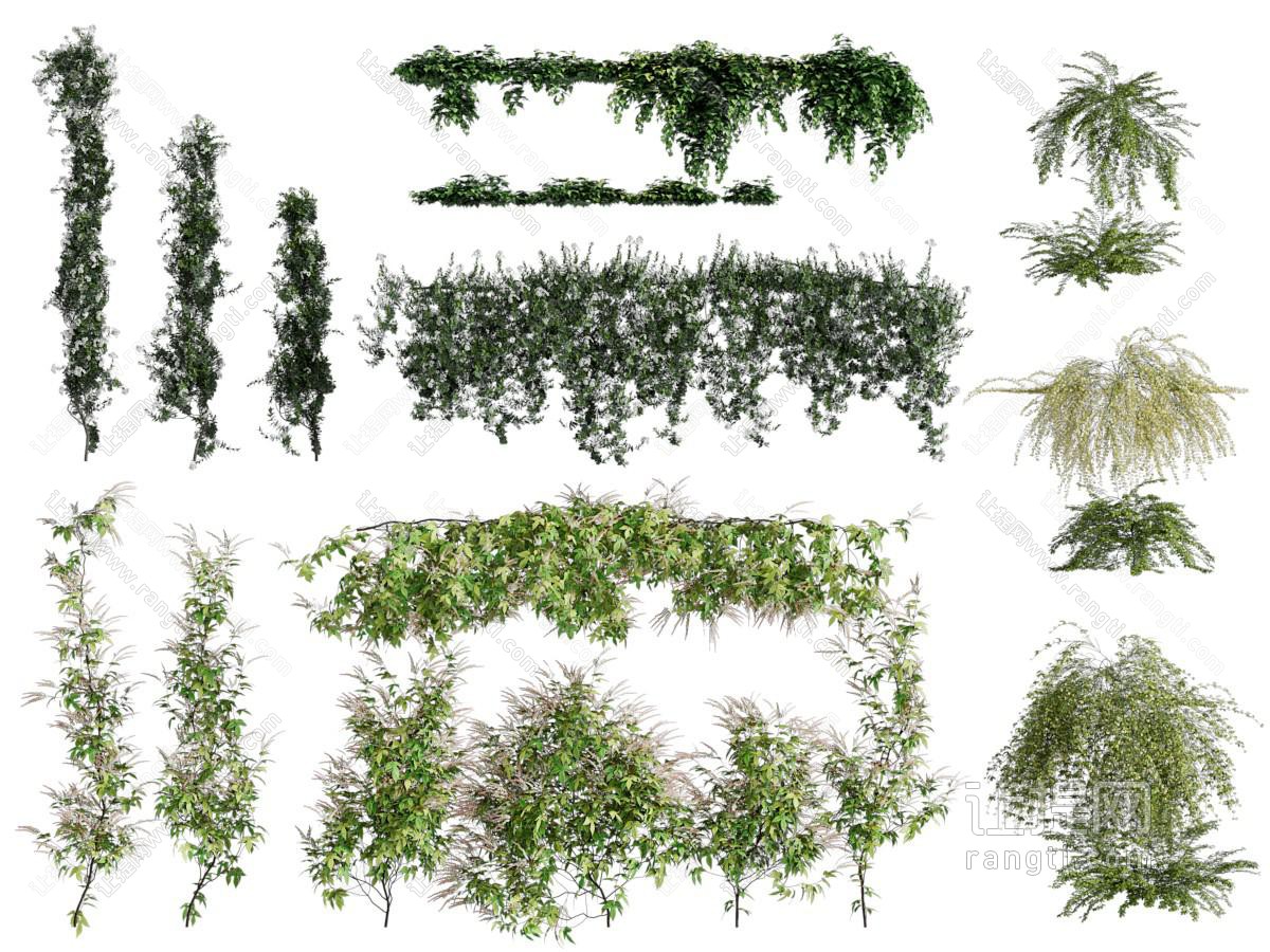 现代藤蔓植物、花草