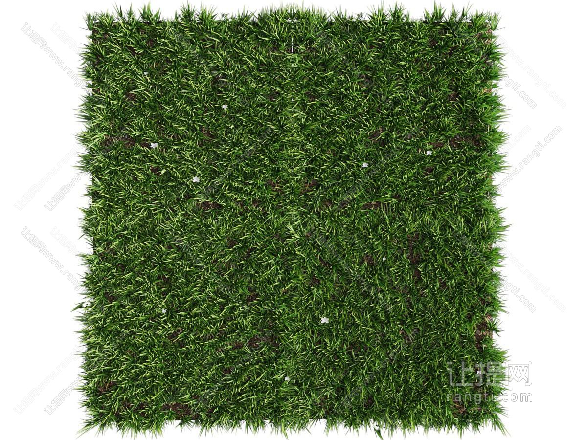 现代方形植物墙、无边框植物装饰挂画