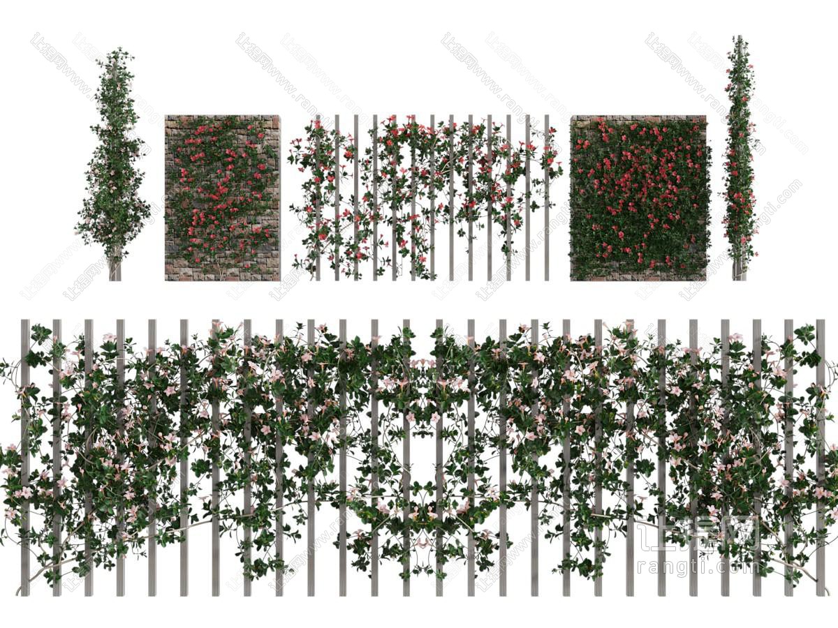 现代花墙、藤蔓植物墙