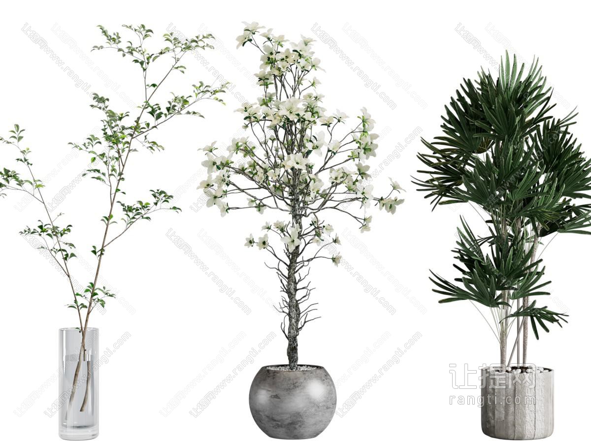 现代花瓶花卉、盆栽植物
