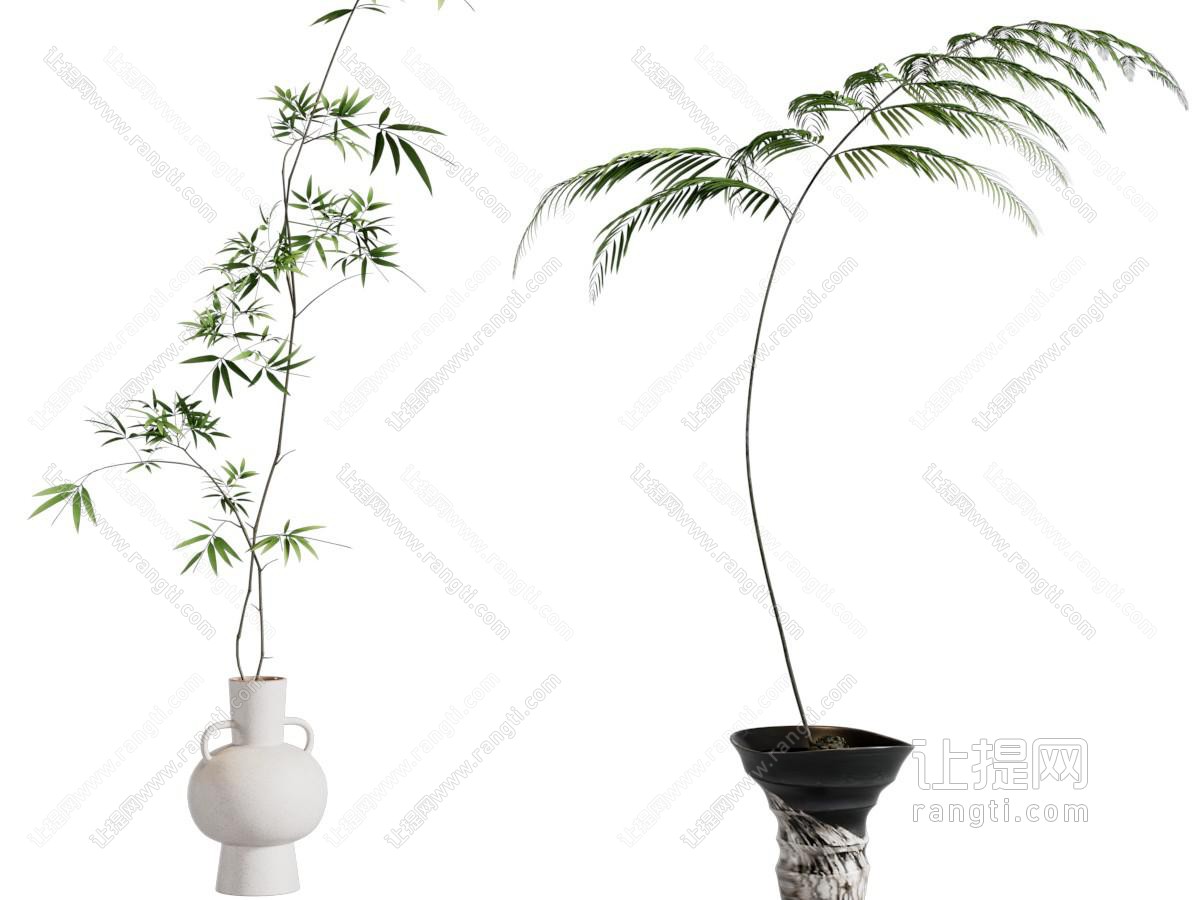 现代花瓶花卉