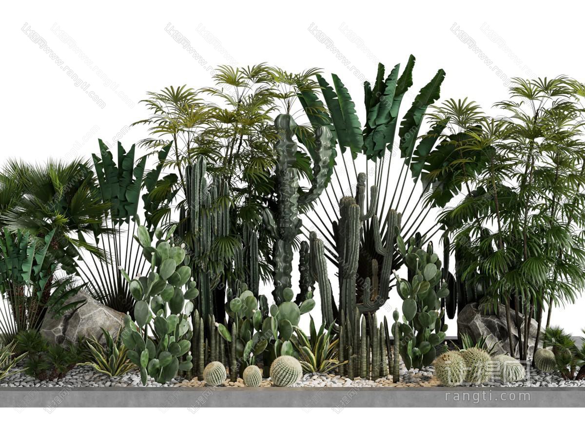 现代花坛多肉植物景观园艺小品
