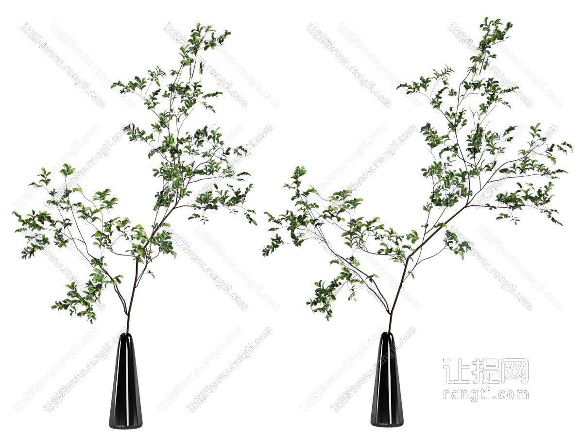 现代黑色花瓶花卉