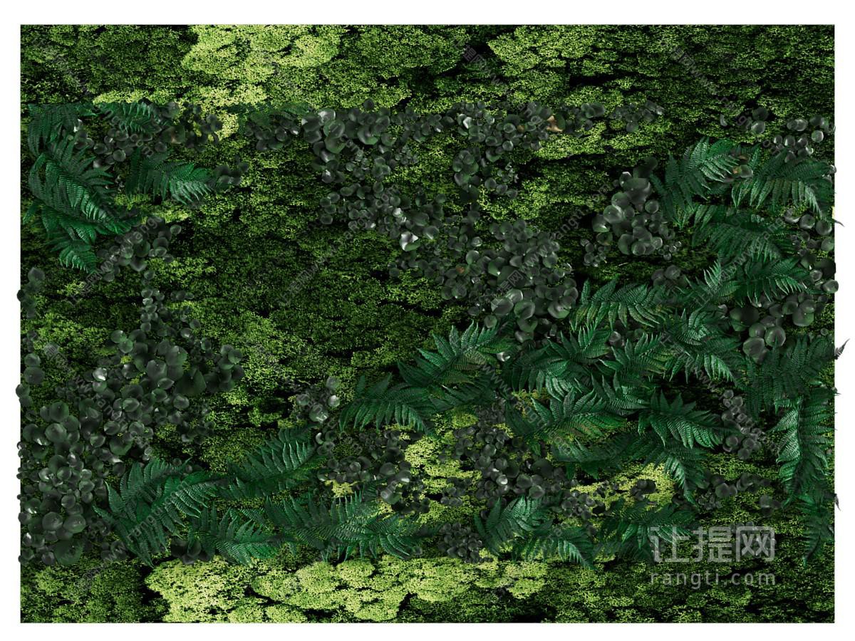 现代植物墙