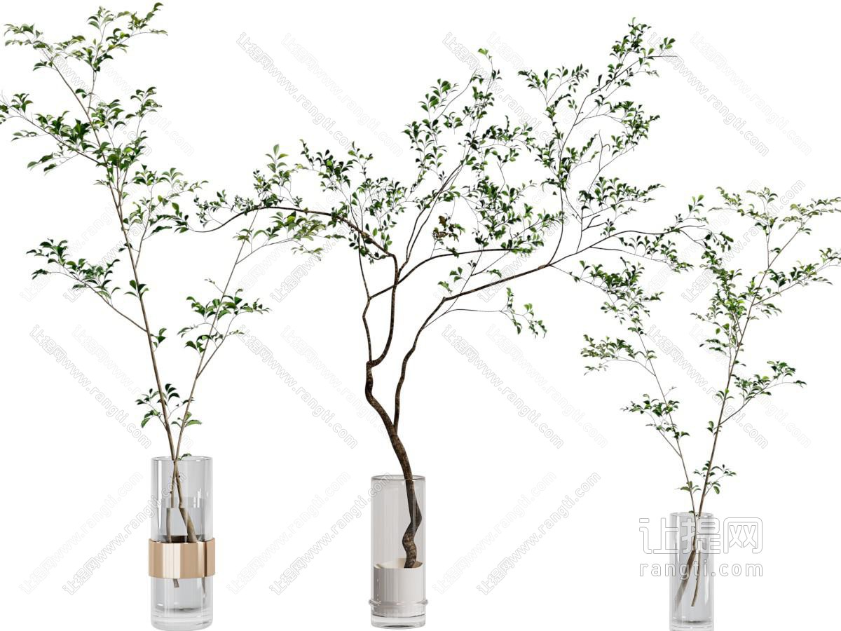 现代玻璃花瓶树枝花卉