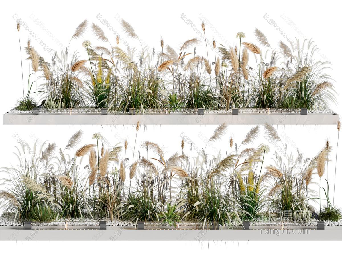 现代花坛芦苇 石头景观园艺小品