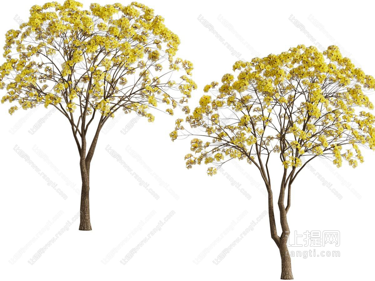 现代黄色花朵的树木