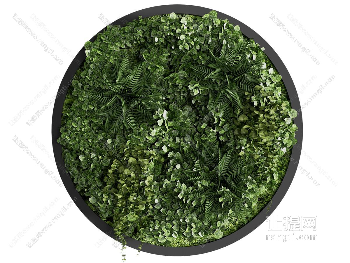 现代圆形的植物装饰挂画、植物墙、绿植墙