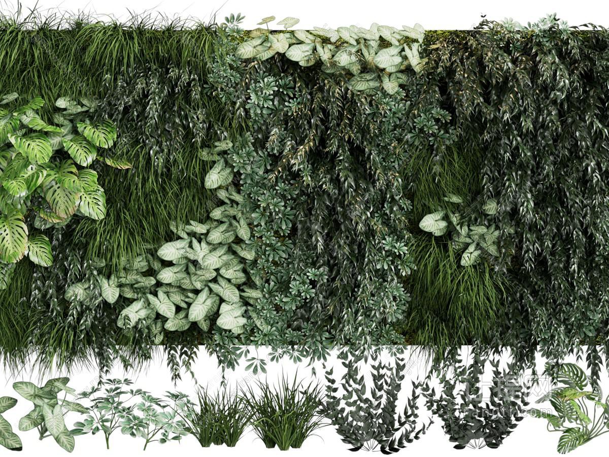 现代植物墙