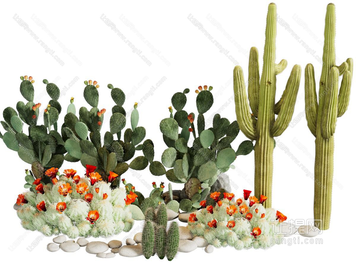 现代仙人掌 仙人山多肉植物景观园艺小品