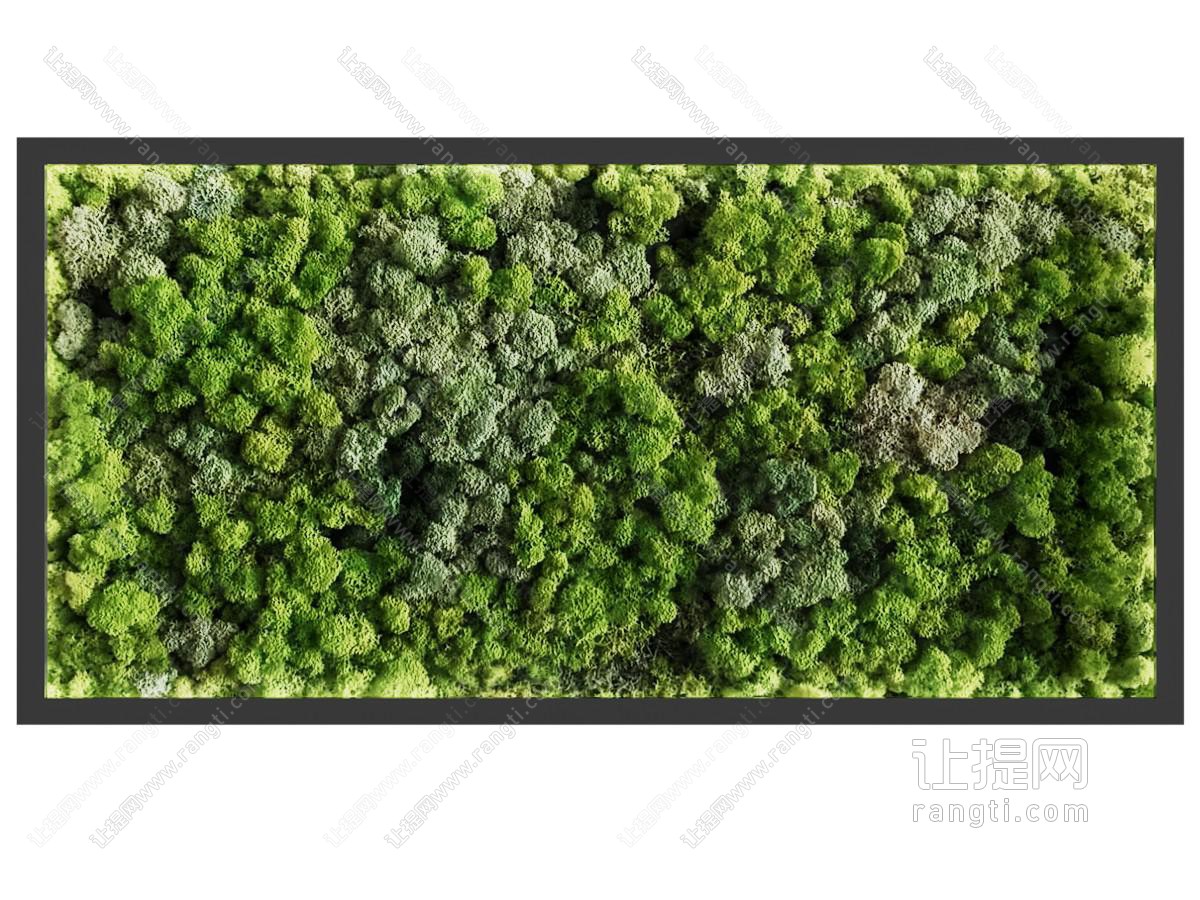 现代长方形实木边框植物墙