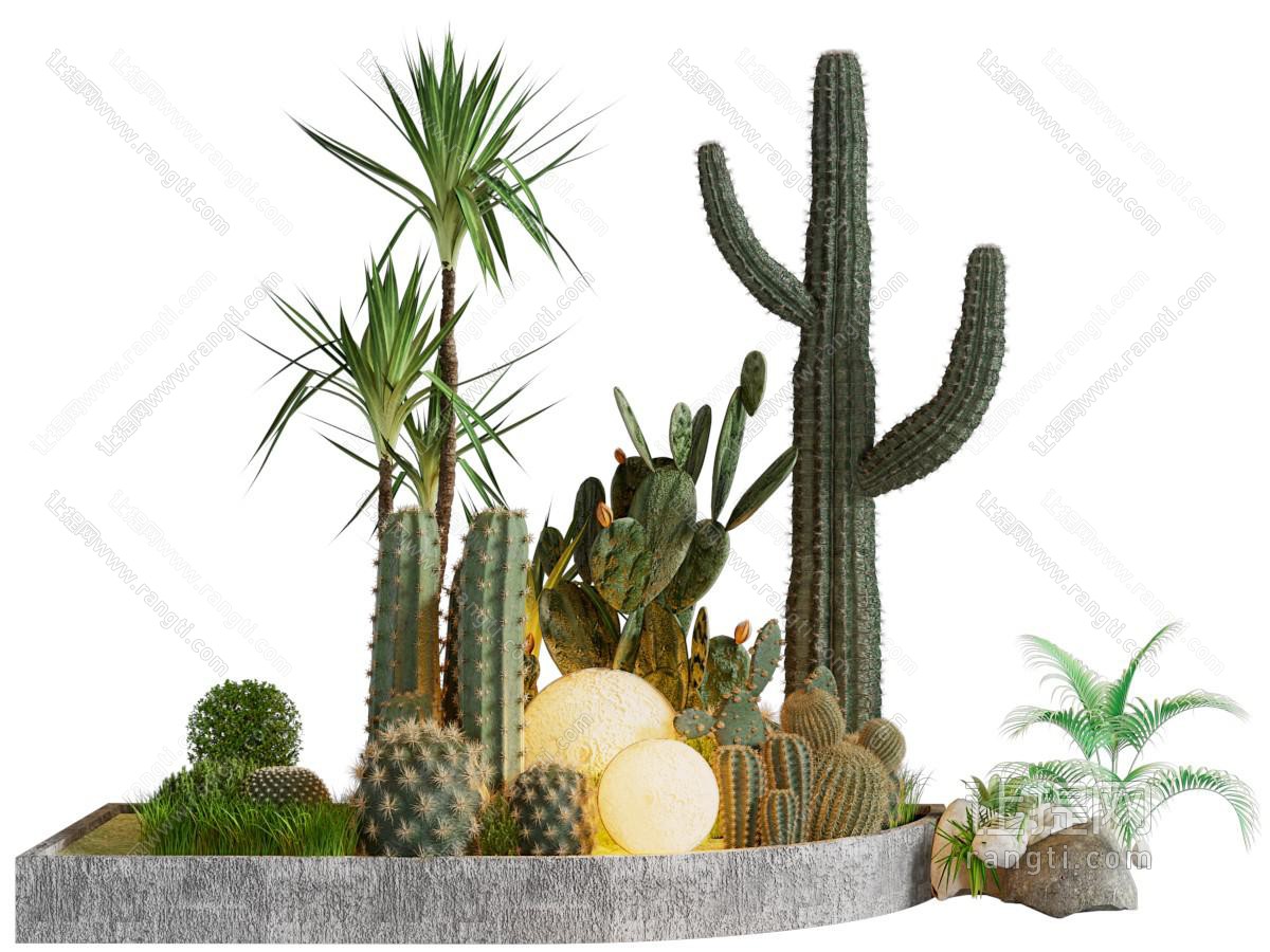 现代花坛多肉植物景观园艺小品