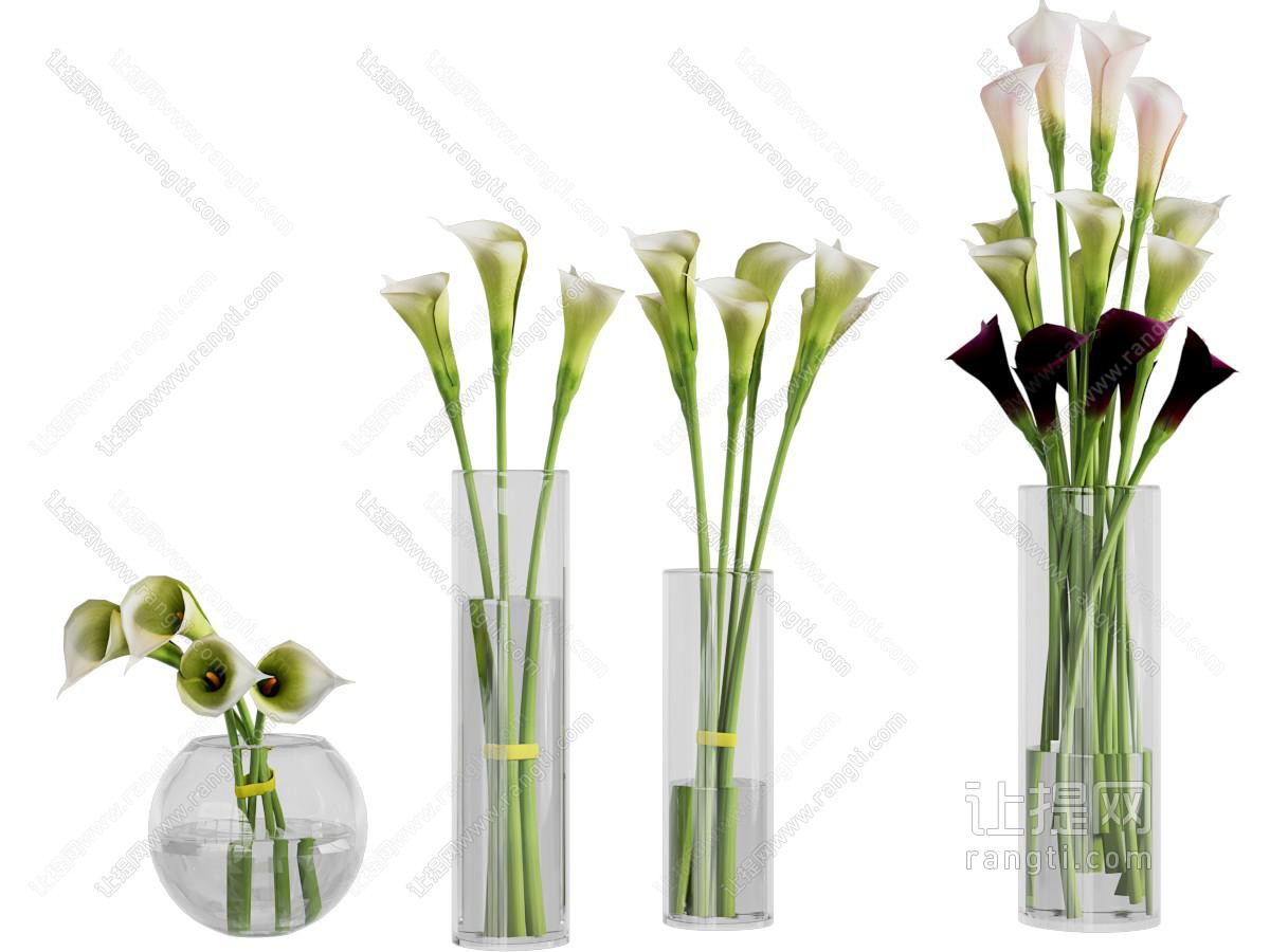 现代花瓶马蹄莲花卉