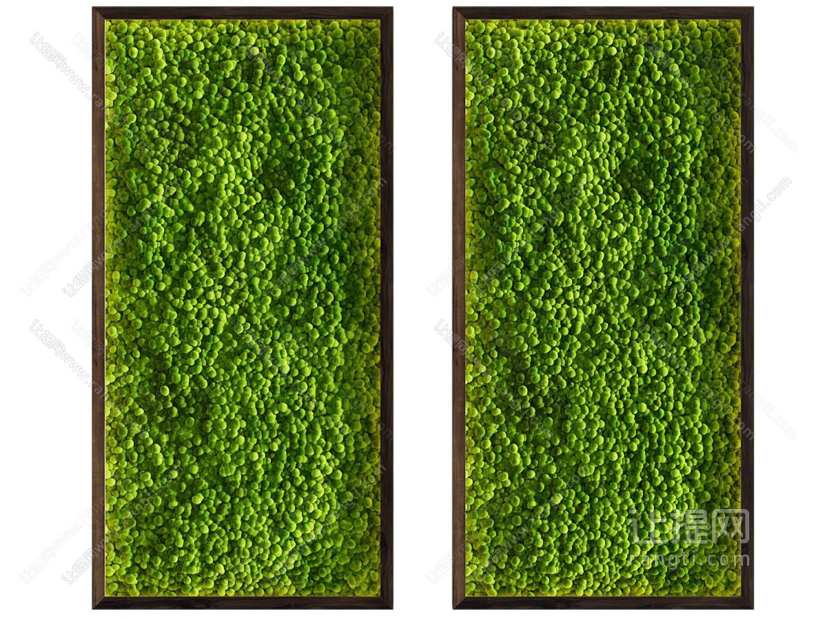 现代长方形画框植物装饰挂画 植物墙