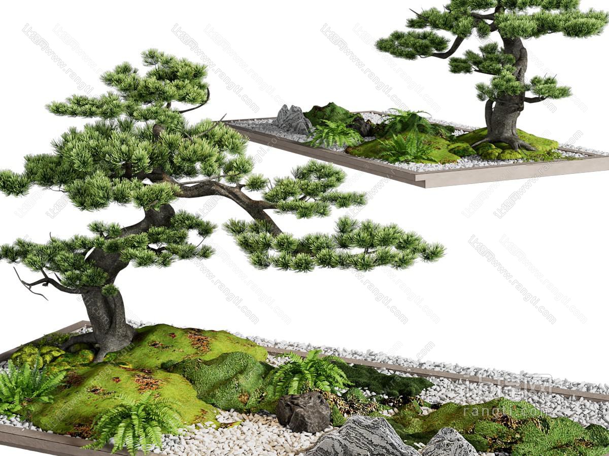 新中式花坛松树景观园艺小品