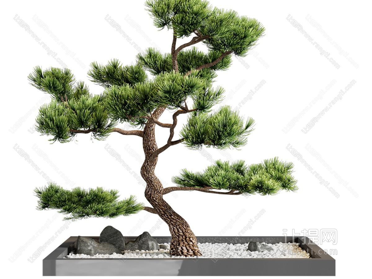 新中式松树景观园艺小品