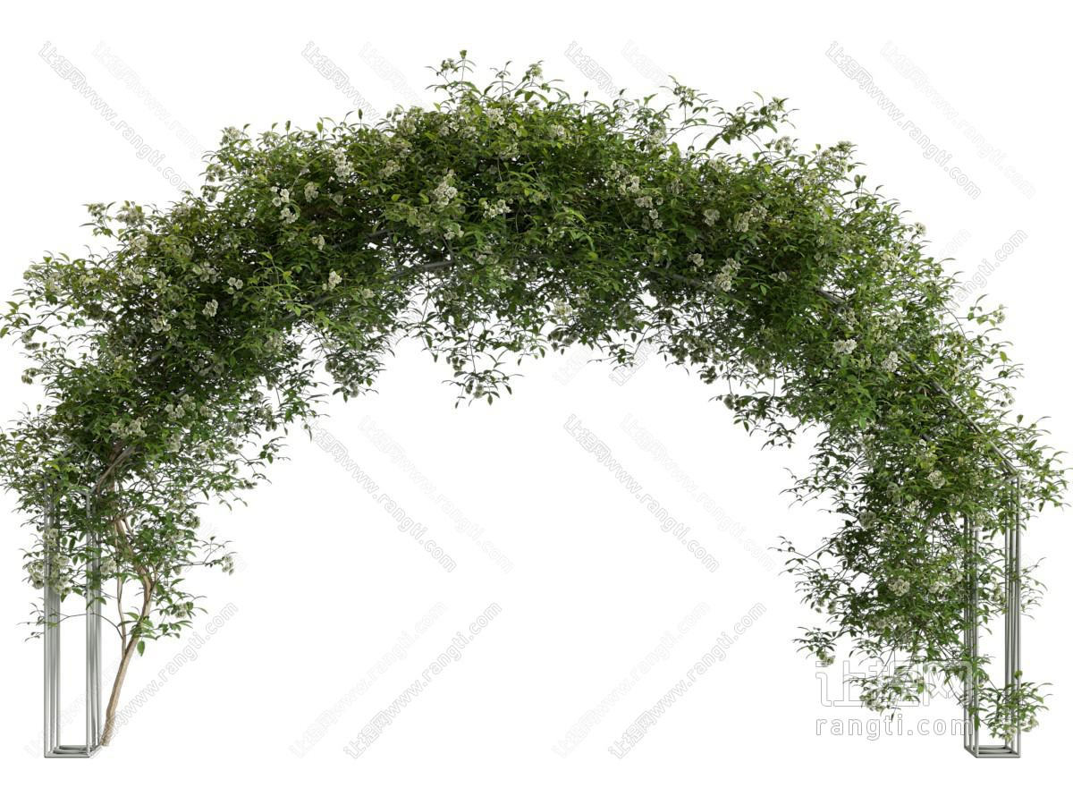 现代藤蔓植物装饰的拱形门 大门