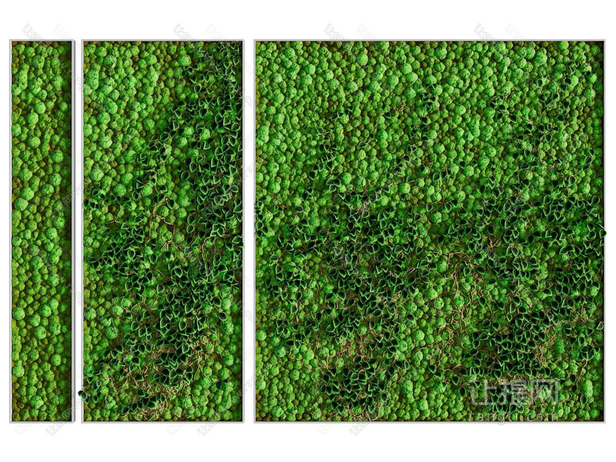 现代植物墙 植物挂画