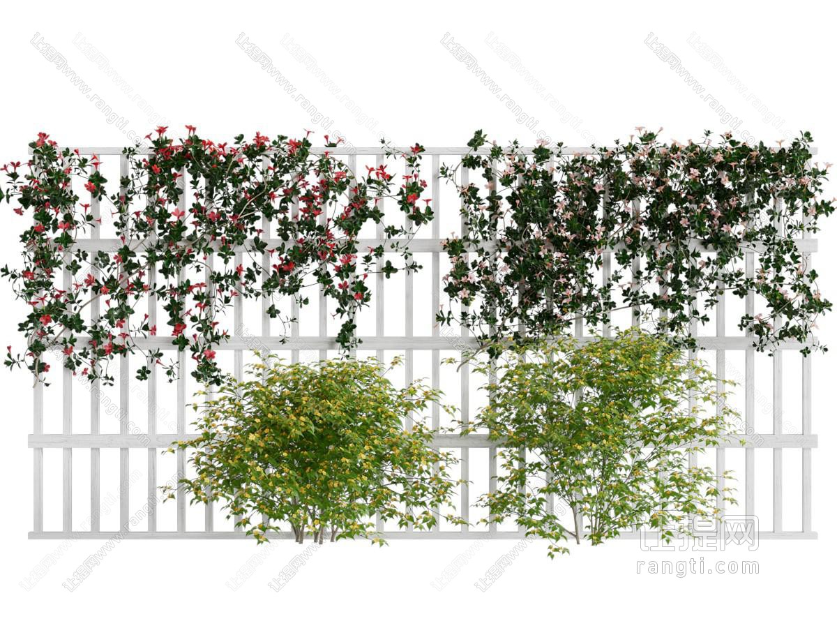 现代藤蔓植物爬架 植物墙