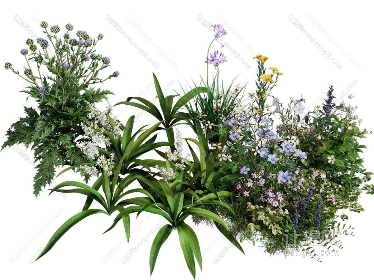 现代花草花卉植物