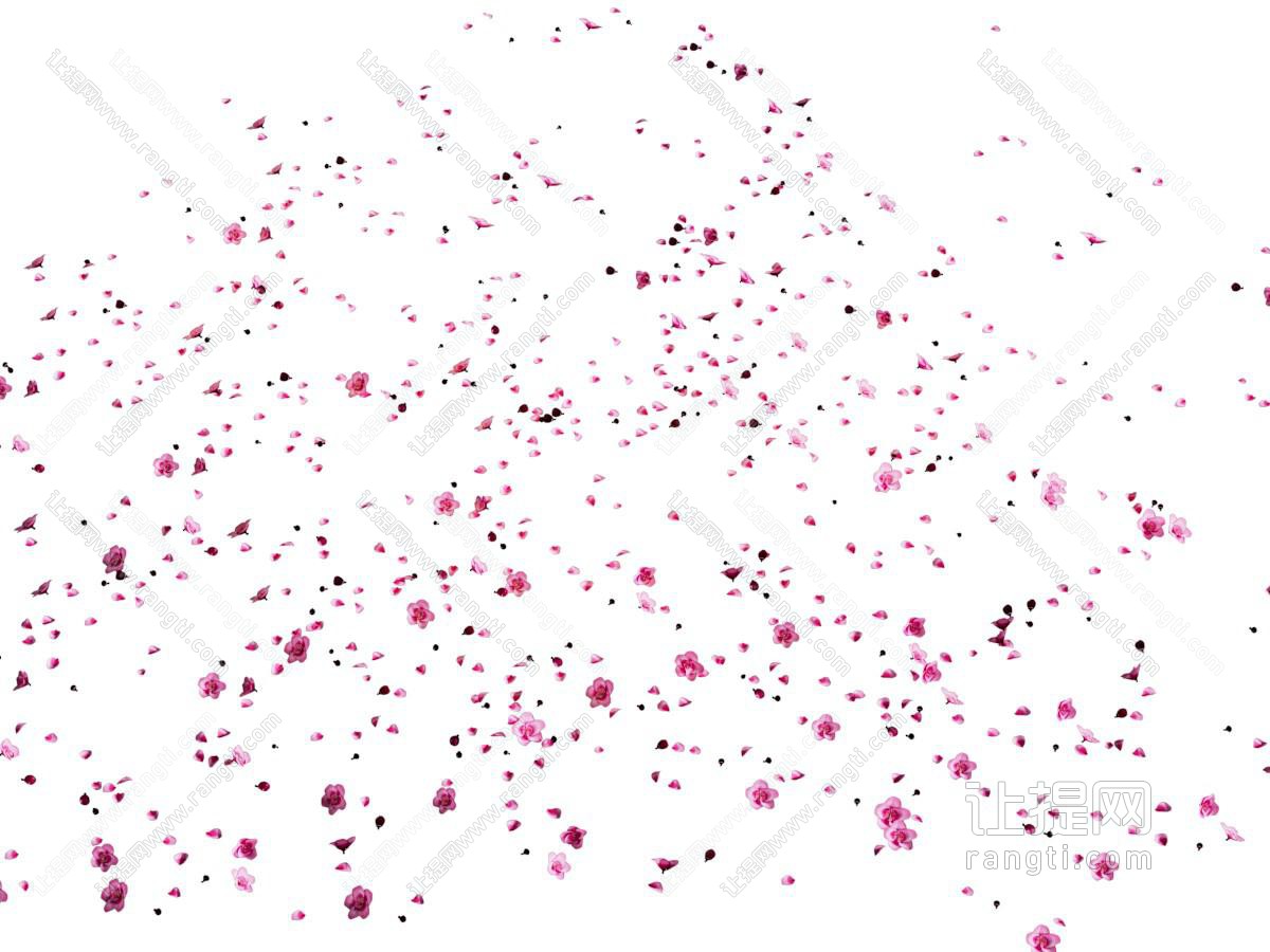 现代飘落的粉红色花瓣