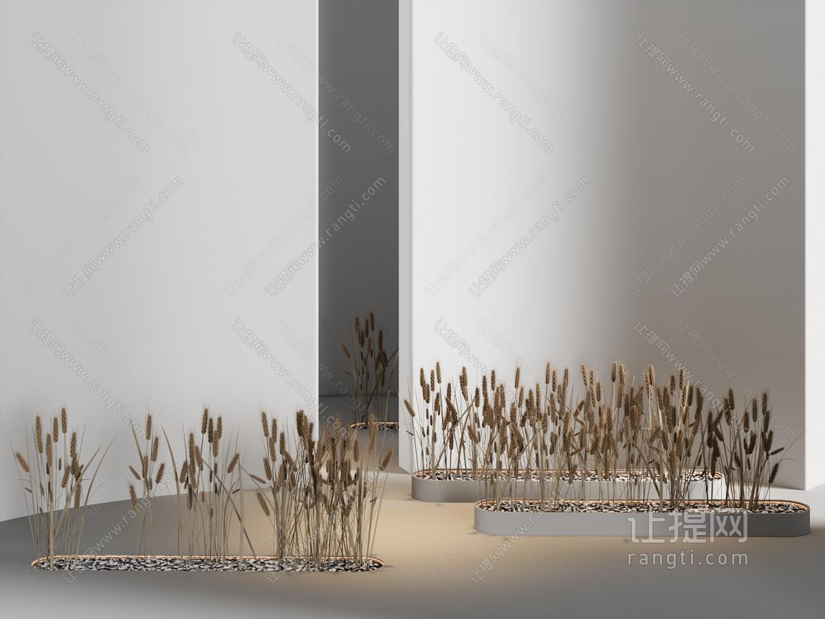 现代室内麦穗麦子景观园艺小品