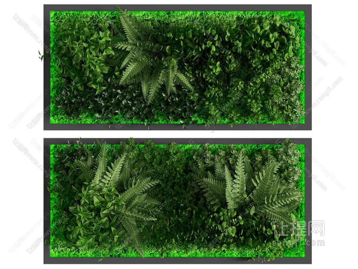 现代植物背景墙 植物墙