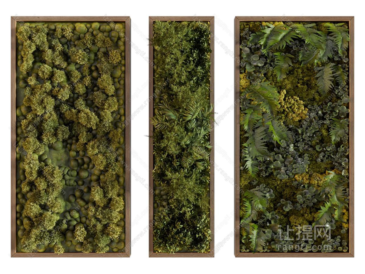 现代植物墙 绿植墙 苔藓墙