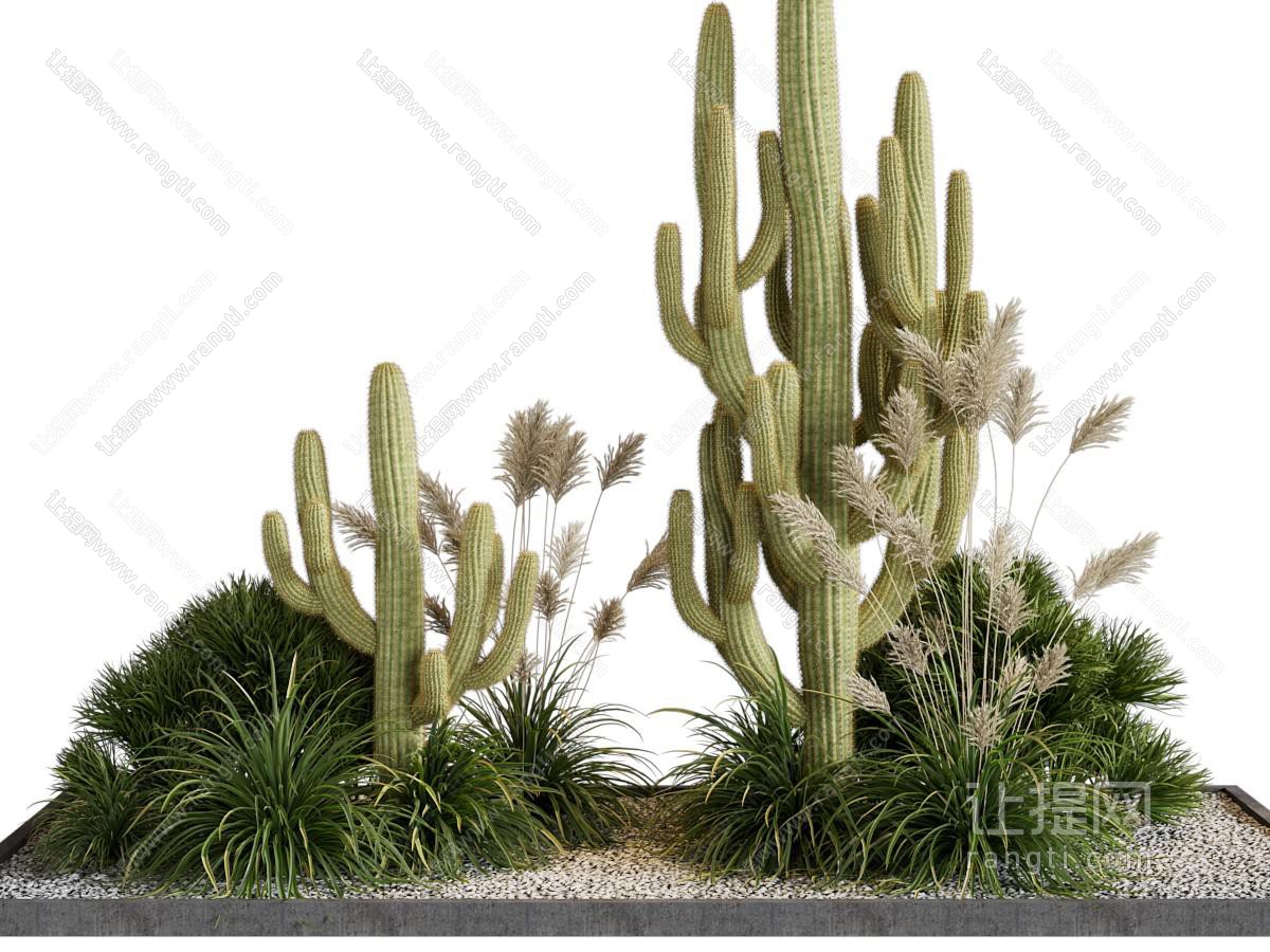 现代多肉植物盆景盆栽 景观园艺小品