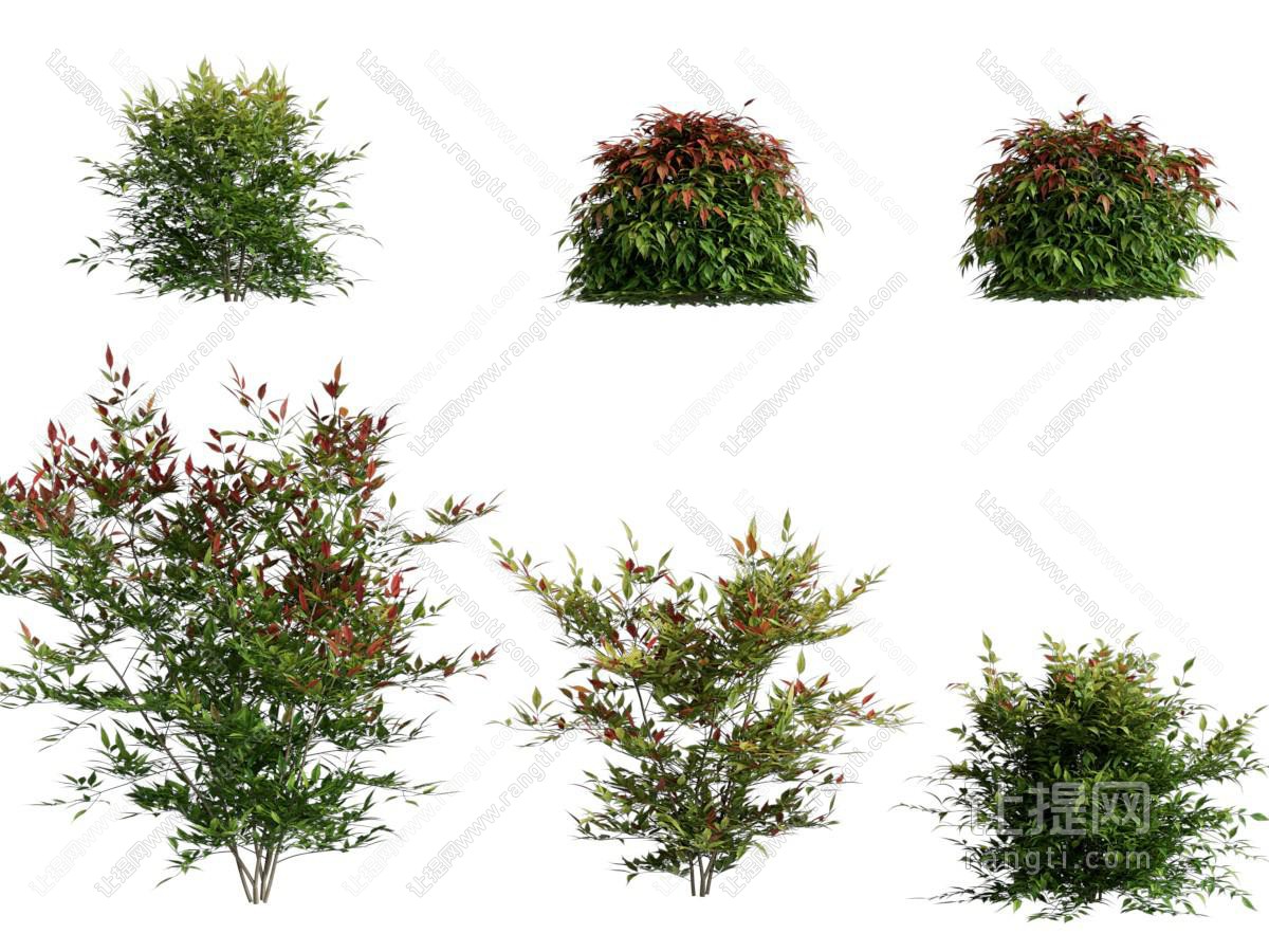 现代花草花卉植物