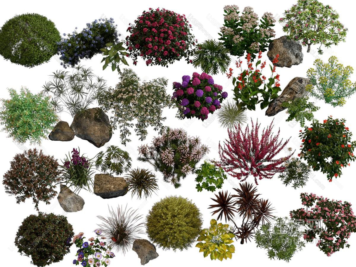 现代景观灌木丛 花草花卉植物 园艺小品