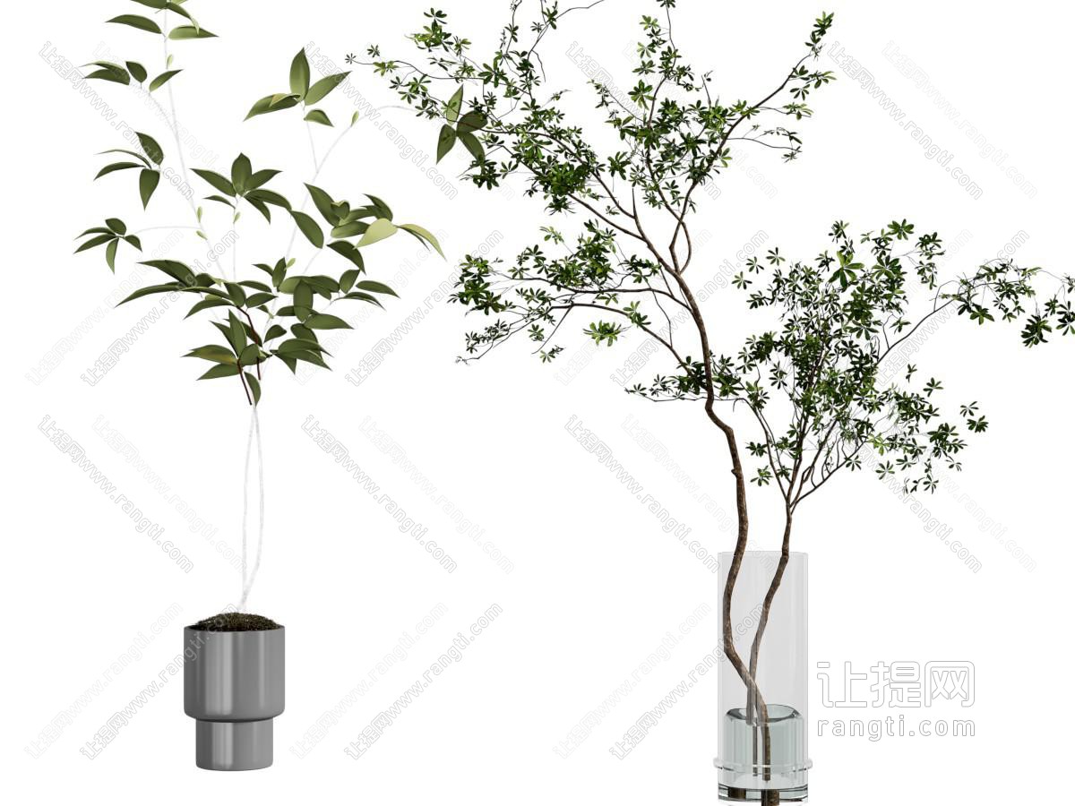 现代花瓶花卉