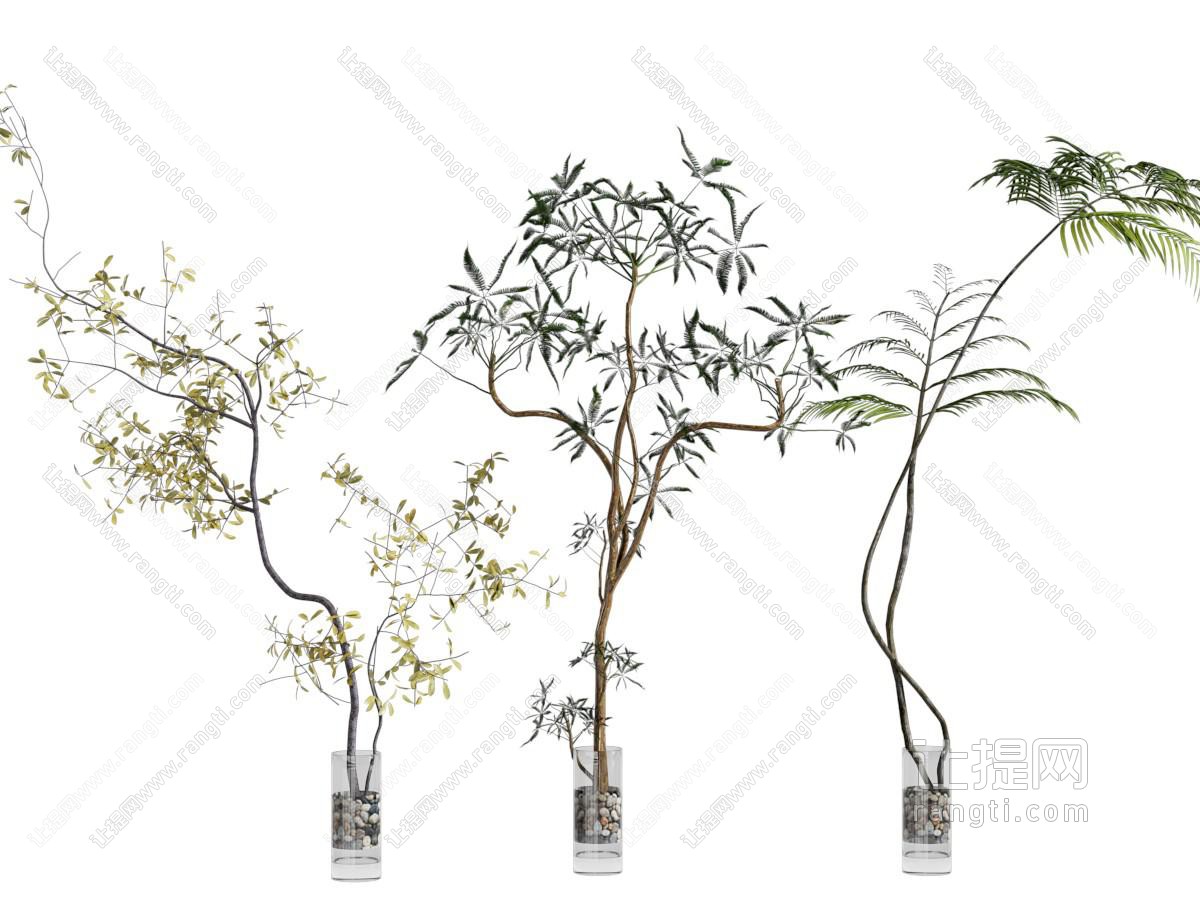 现代花瓶花卉
