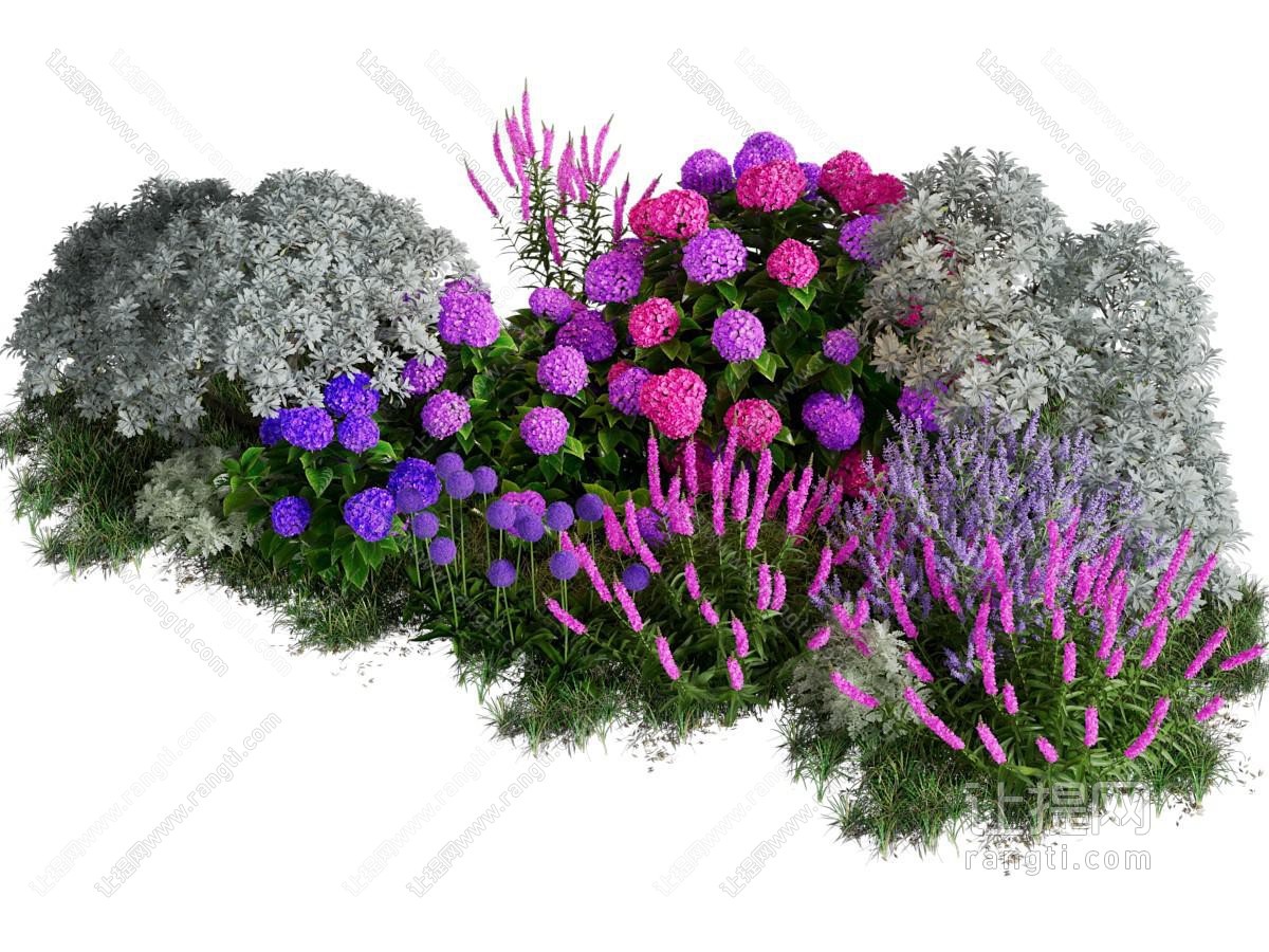 现代花草花卉植物