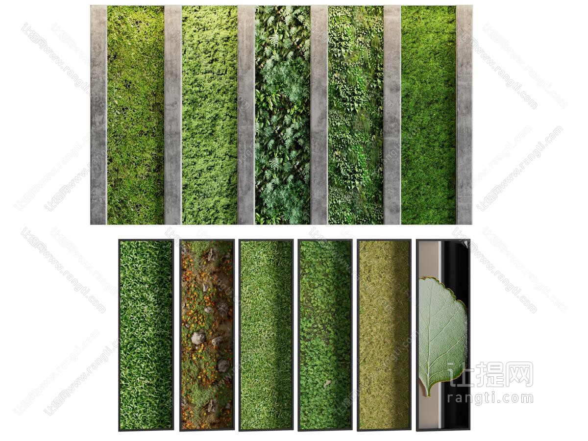 现代植物墙 景观造墙