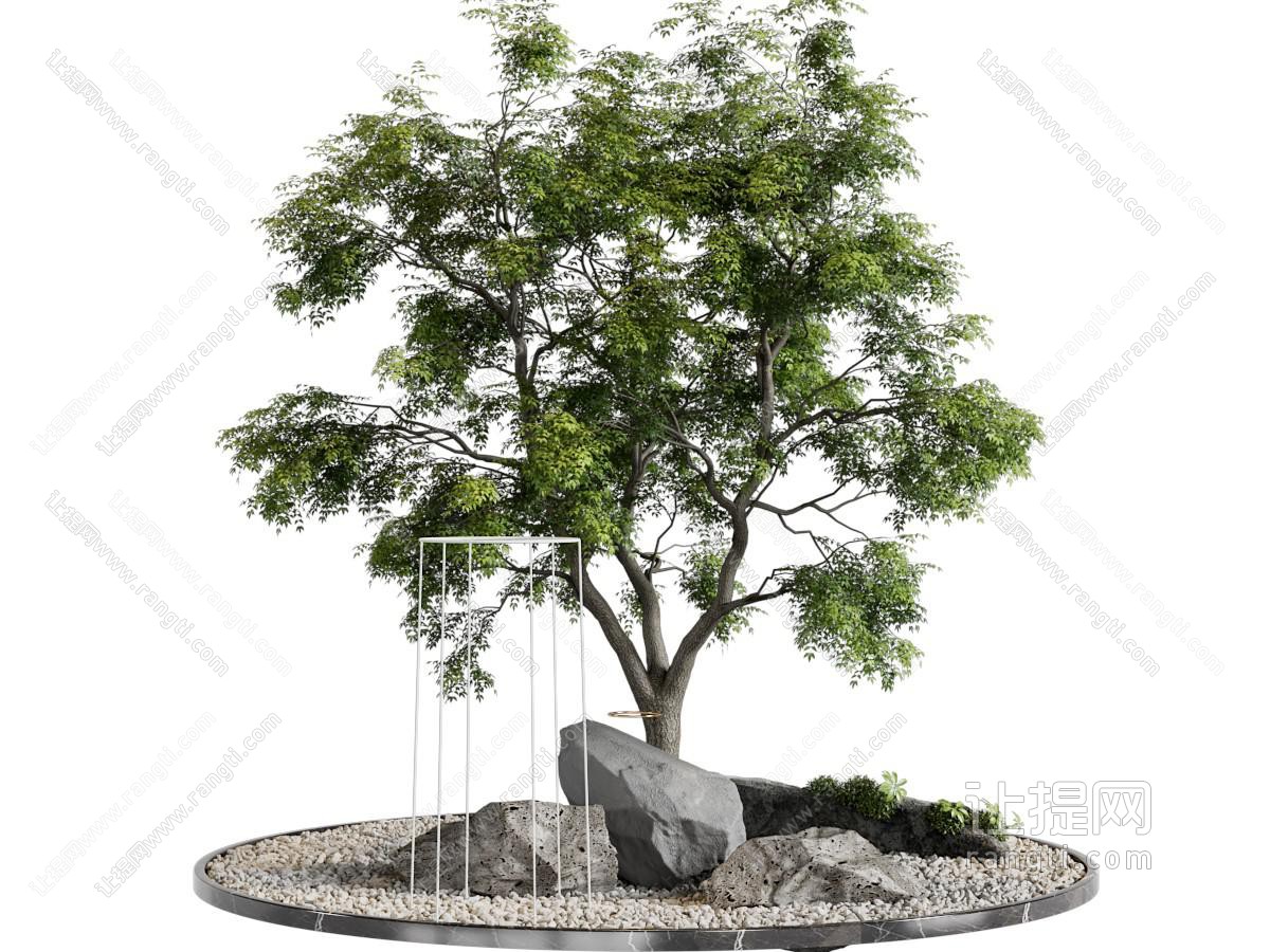 现代景观树木
