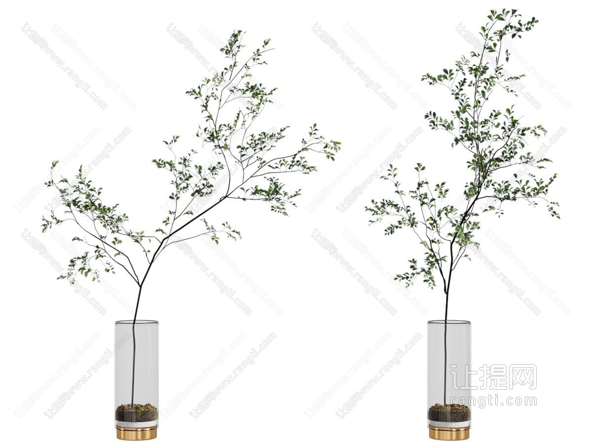 现代花瓶花卉