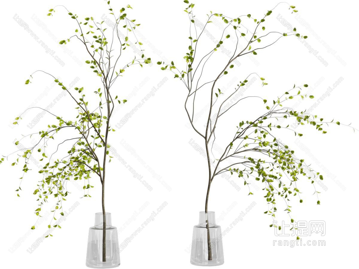 现代花瓶花卉
