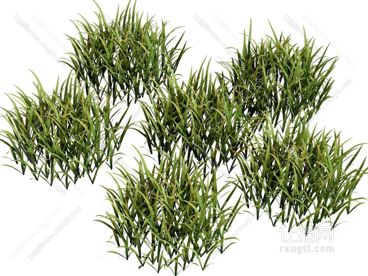现代花草植物