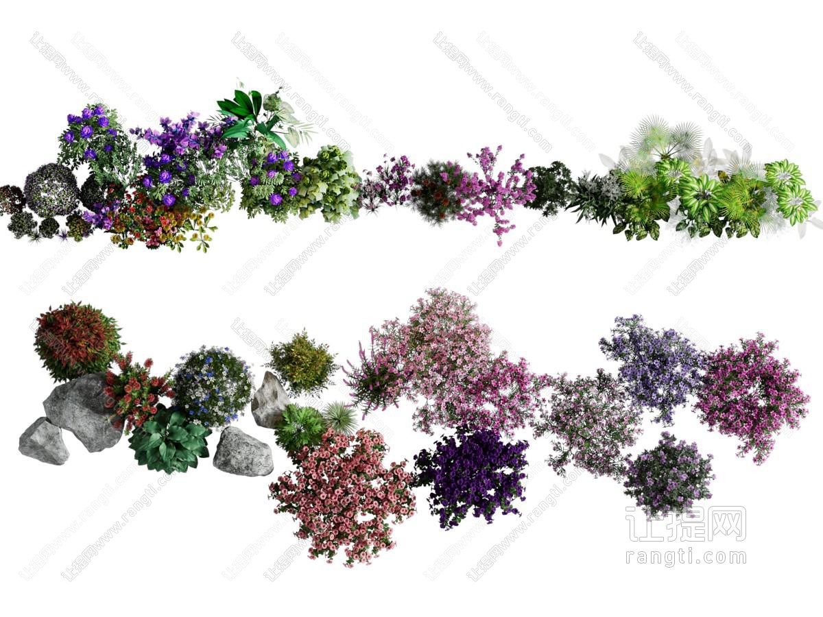 现代花卉花草植物