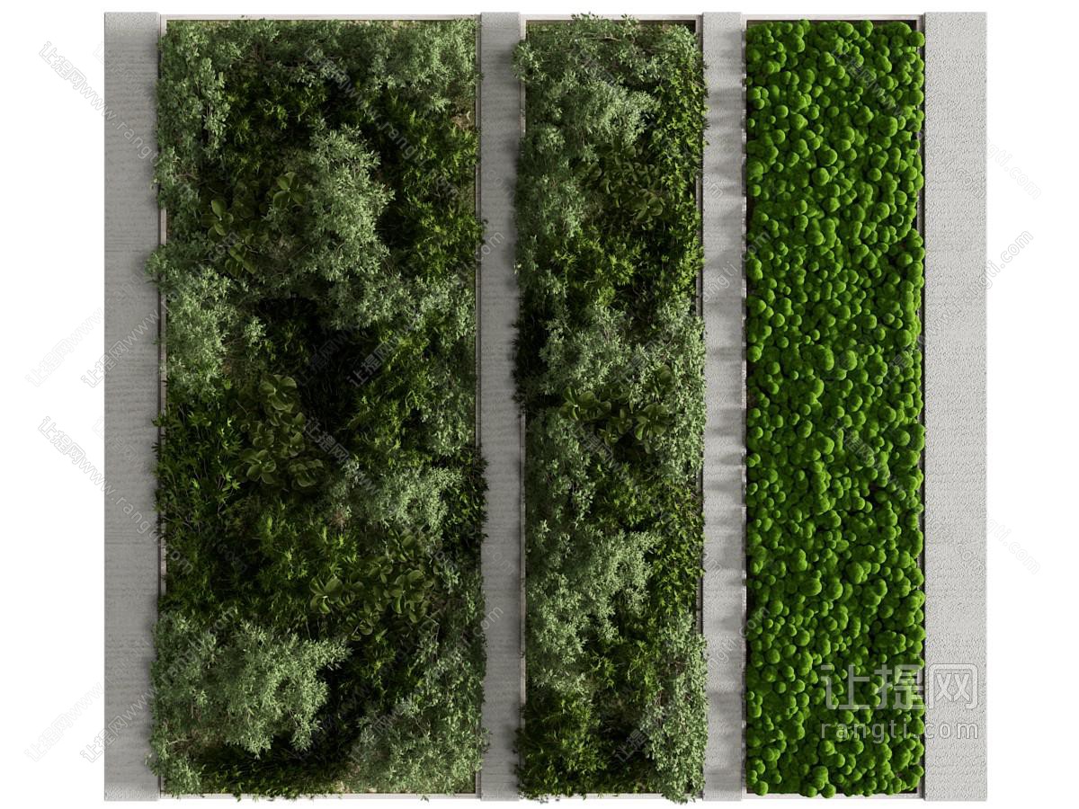 现代造型背景墙 植物墙