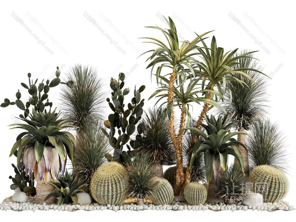 现代仙人球 多肉植物景观园艺小品