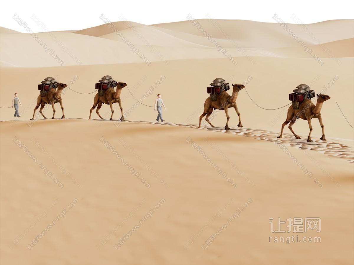 现代荒漠 骆驼