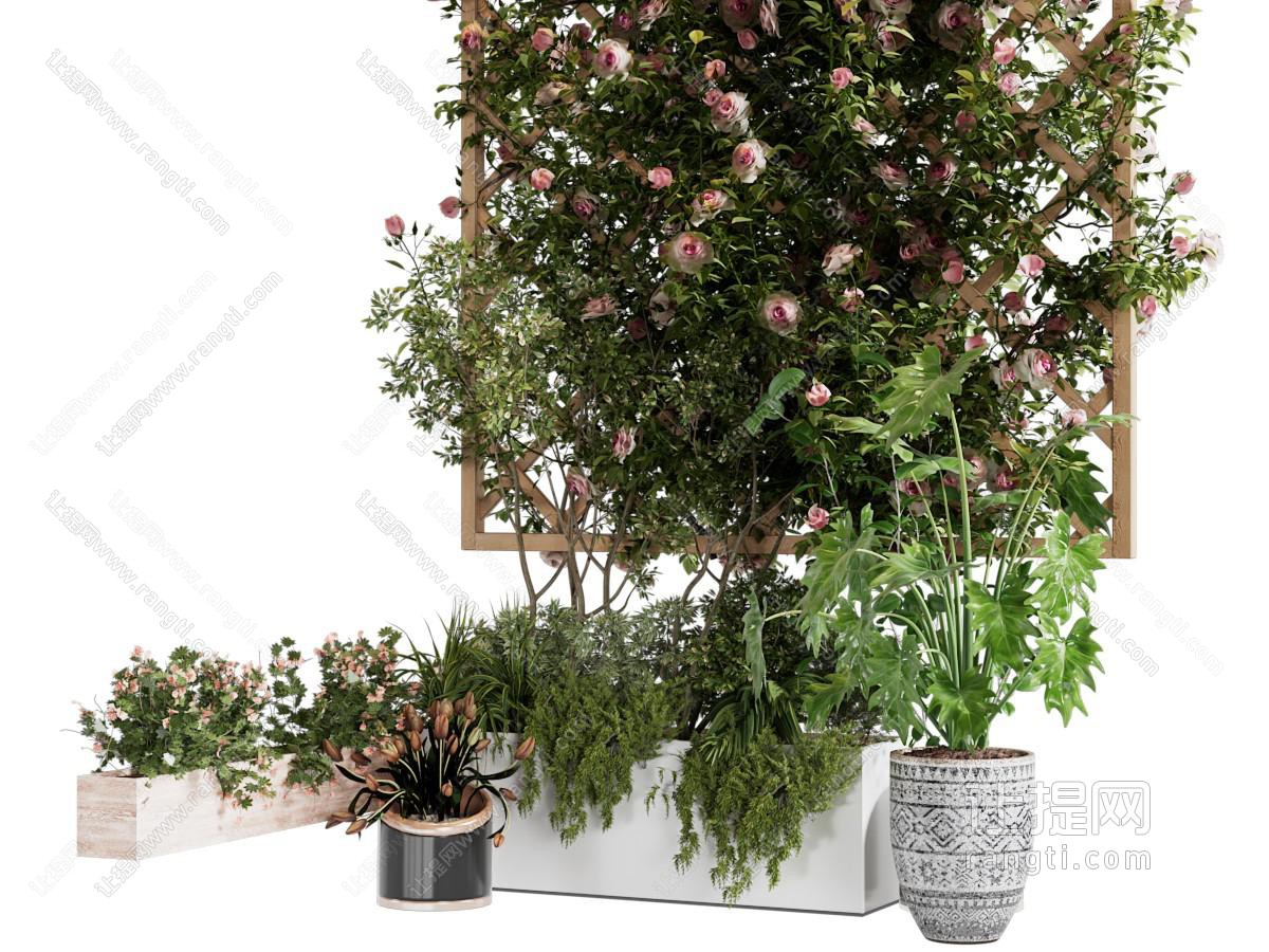现代植物花架 盆栽植物园艺小品