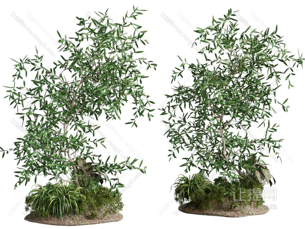 新中式花草 竹子景观园艺小品