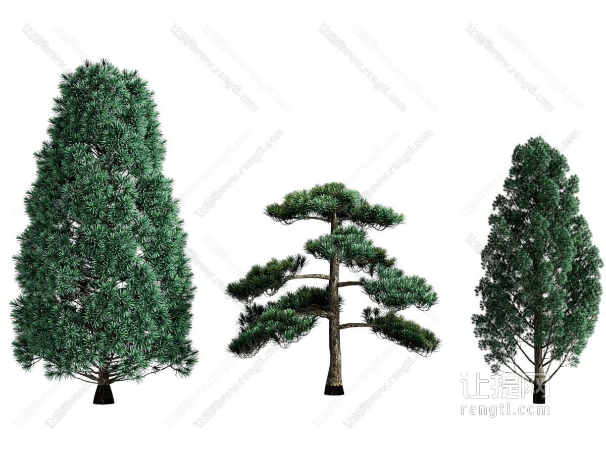 现代景观树木