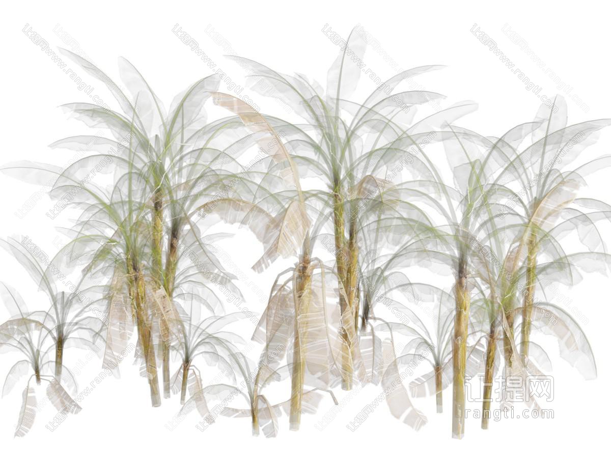 现代花草植物
