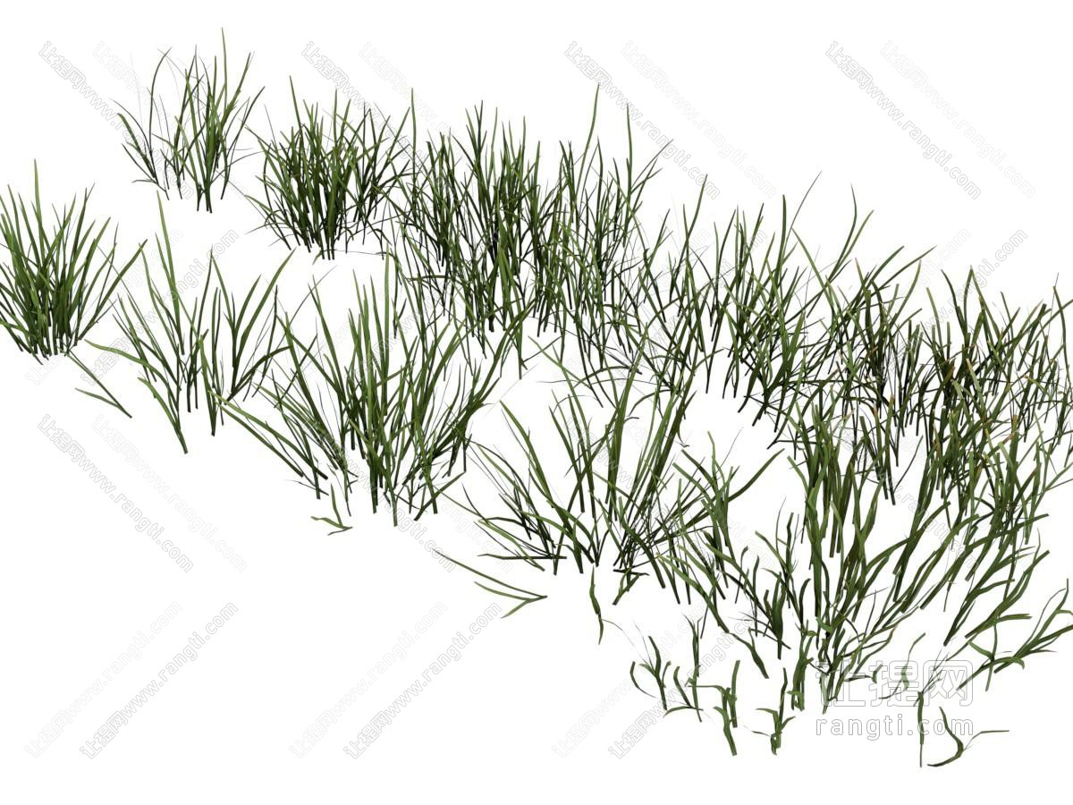 现代花草植物